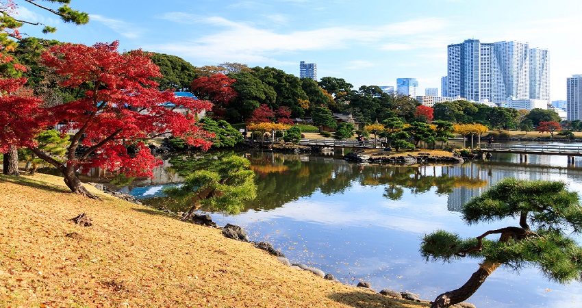 hamarikyu.jpg